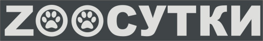 Зоосутки